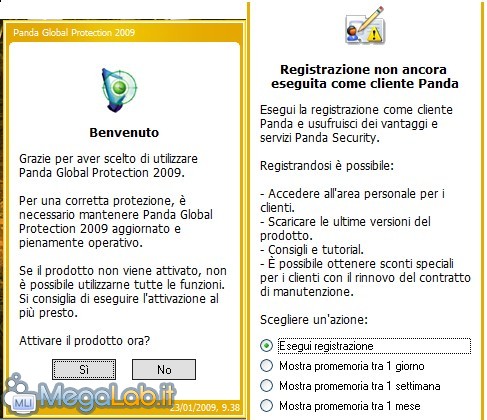 Panda11.jpg Panda11.jpg