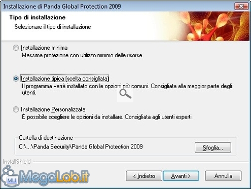 Panda4.jpg