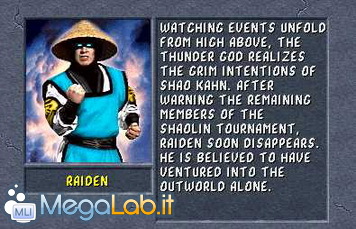 02_-_Raiden.jpg