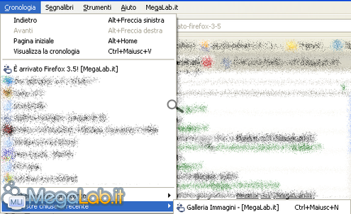 Firefox 3.5 6.PNG
