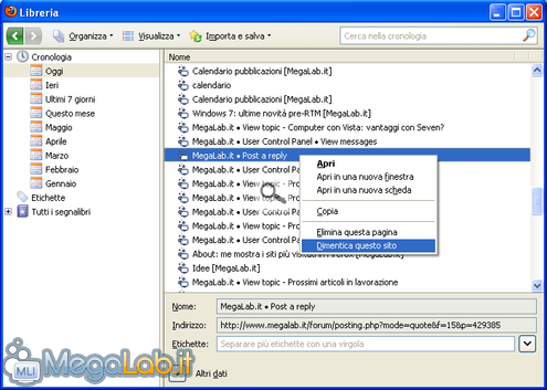 Firefox 3.5 10.PNG