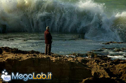 Thats_a_wave!.jpg