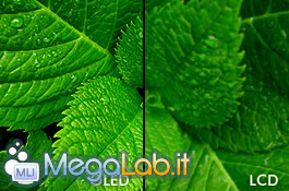 Oled-TV-vs-LCD-TV.jpg