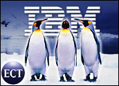 03_-_IBM_Linux_Server.jpg