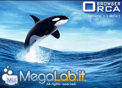 Orca1.jpg