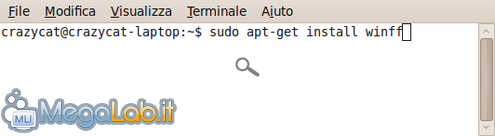 Winff1.png