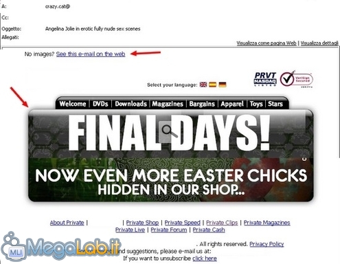 Spam1.jpg