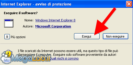 IE 8_install_5.png