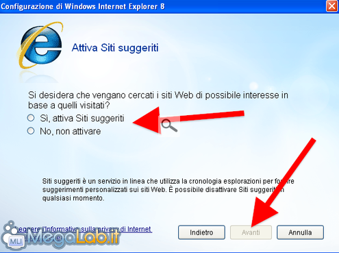 IE 8_install_12.png