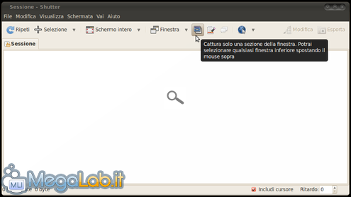 009-Cattura-sezione-finestra.png