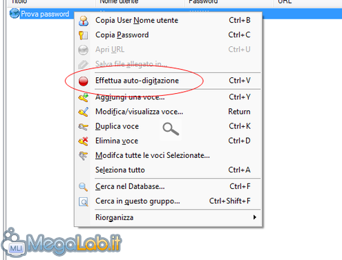 KeePass Password Safe_2010-10-23_16-03-48.png