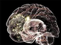 02_-_Electronic_Brain.jpg
