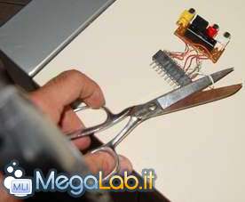 10.jpg 10.jpg