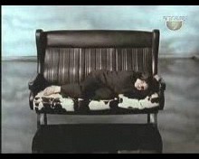 Video7.jpg