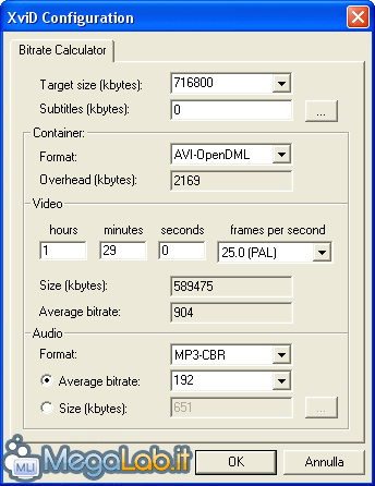 XviD2.gif