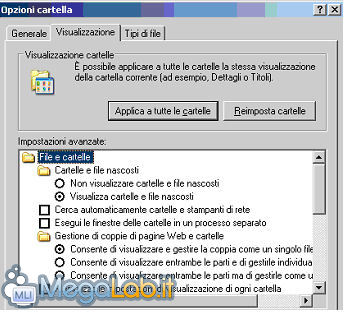 Wm9.jpg