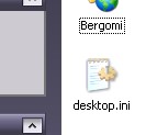 Icona_desktop_ini.jpg