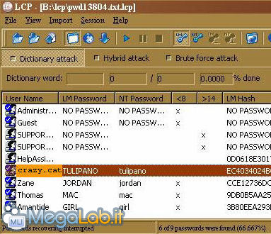 Psw_17_.jpg
