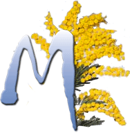 Mimosa.gif