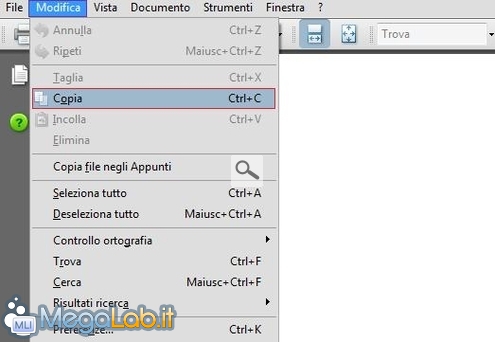 Copiare_documento_PDF_3.jpg