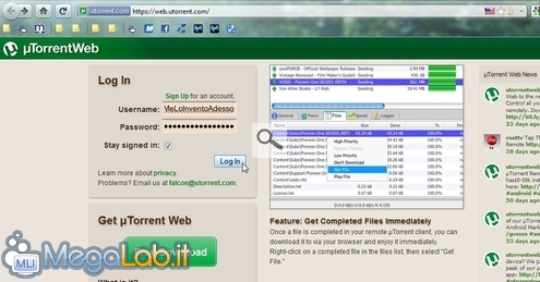 MLINewShot_0720.jpg
