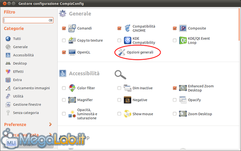 Gestore configurazione CompizConfig_012.png