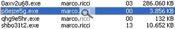 Drweb6.jpg