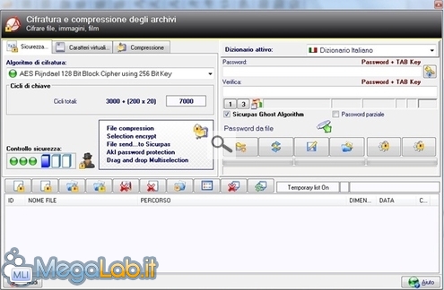 MegaLab.it8.jpg