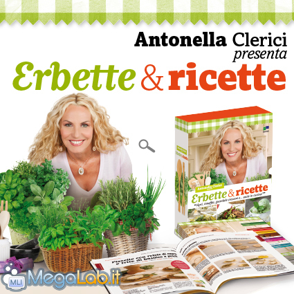ERBETTE.jpg